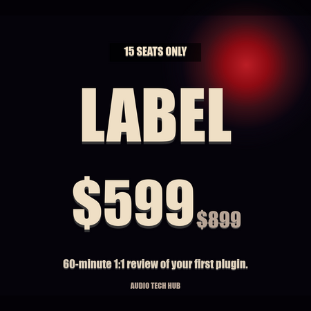 VST Development Course — Label tier