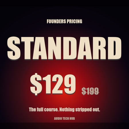 VST Development Course — Standard tier